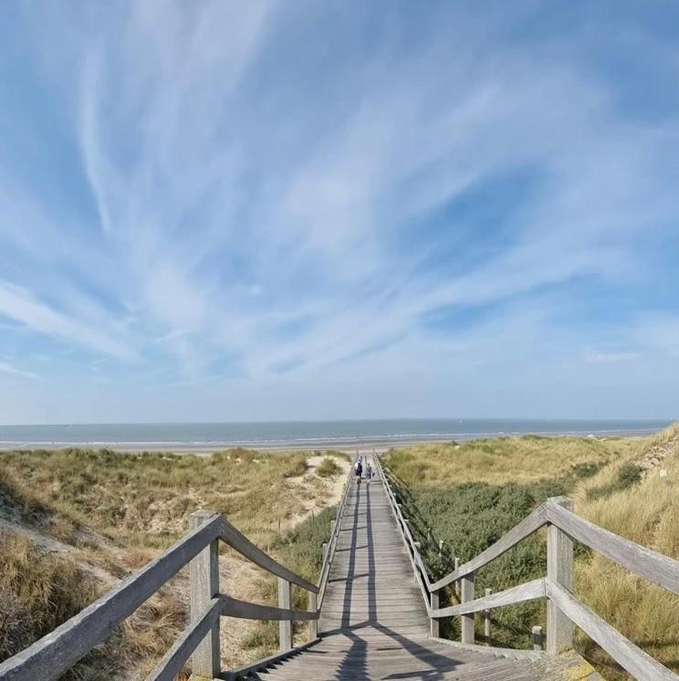 Carpe Diem De Haan Eksteriør billede